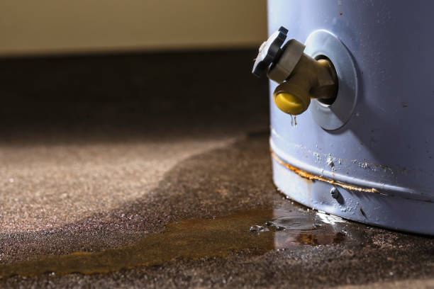  Perryville, MD Water damage restoration Pros