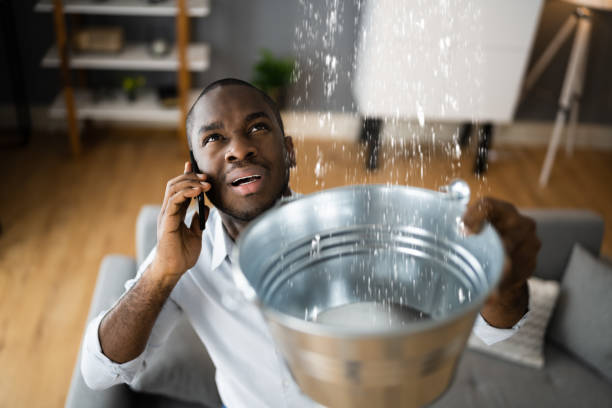 Best Flood damage cleanup  in Perryville, MD
