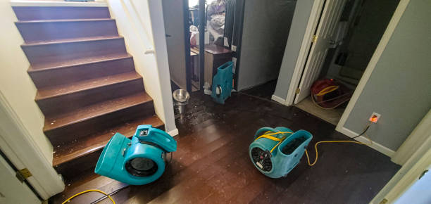 Best Water damage cleanup near me  in Perryville, MD