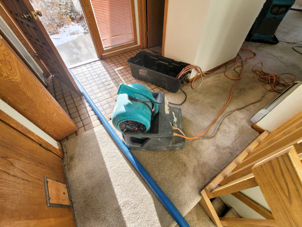 Best Water damage restoration company  in Perryville, MD