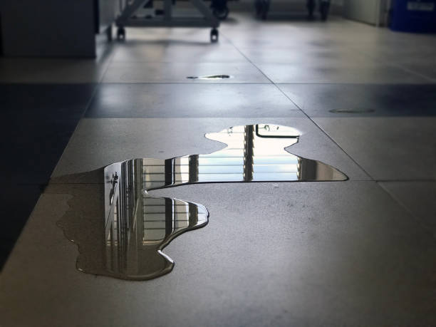 Best Commercial water damage restoration  in Perryville, MD