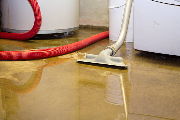 Best Water damage cleanup near me  in Perryville, MD