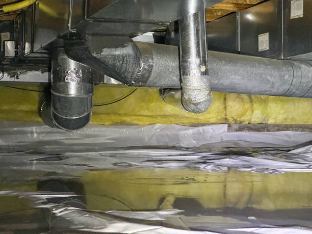 Best Sewage cleanup and water damage restoration  in Perryville, MD
